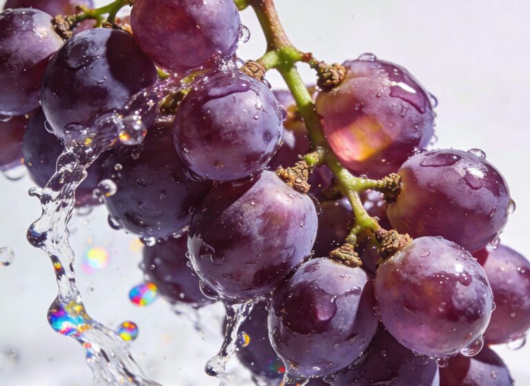 Purple Grape 1001 flavour concentrate reference image