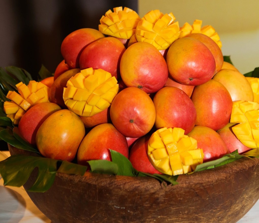 Ripe premium mangoes for Guifei Mango 1001 flavour