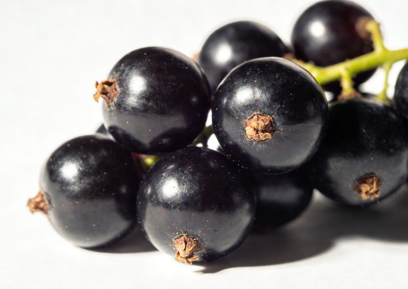 Blackcurrant 3005 flavour concentrate reference image